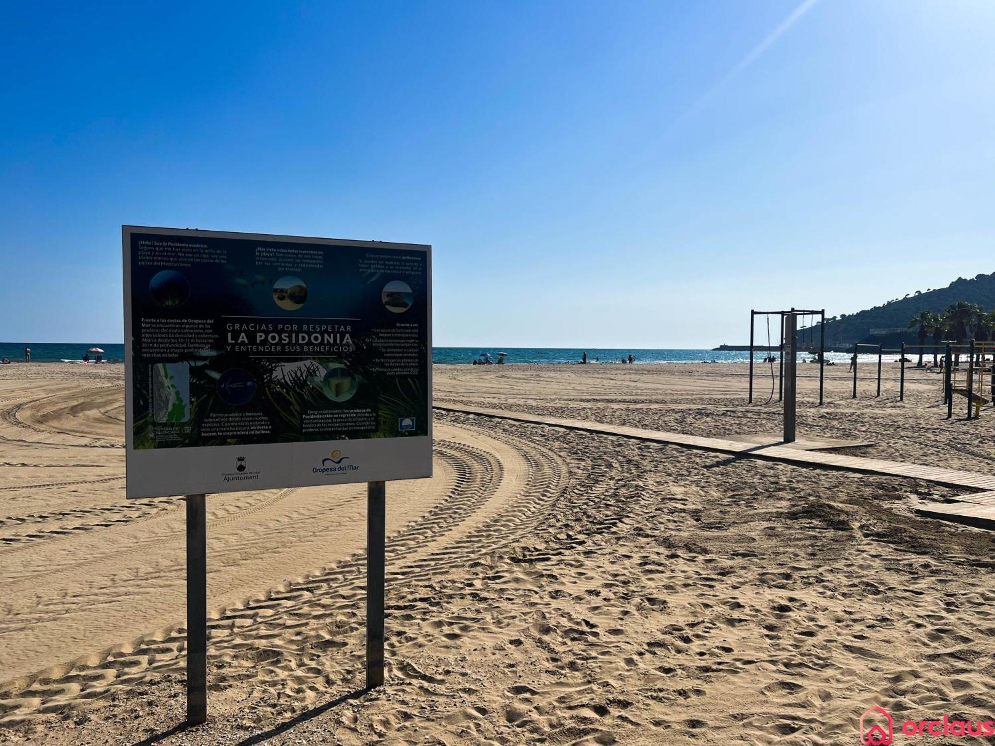 El Paraiso En Playa Concha Oropesa del Mar Bagian luar foto